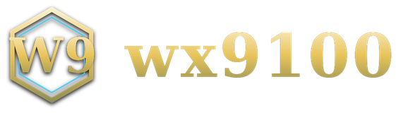 wx9100 logo